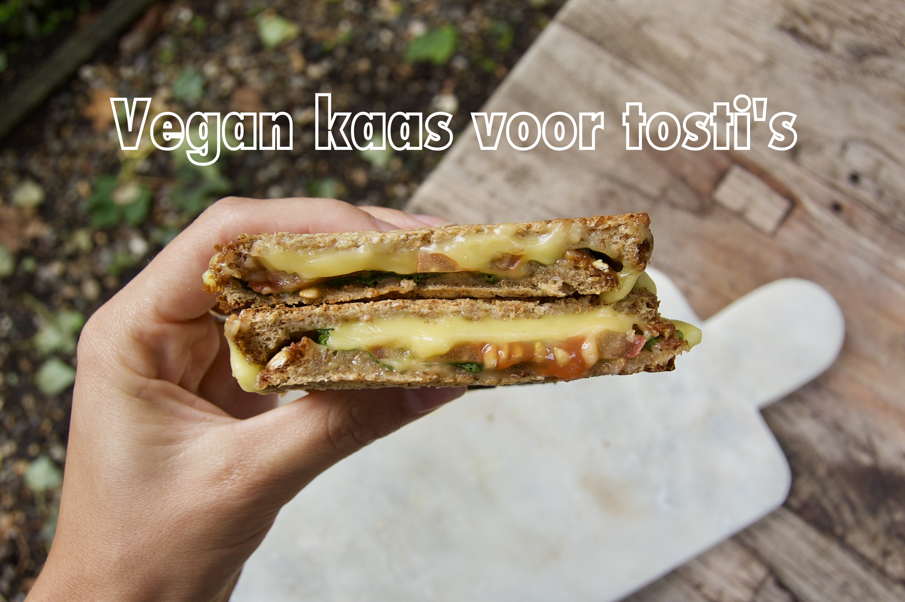 vegan kaas voor tosti's